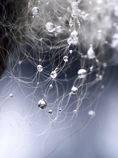 The Bubble Galaxy - a Photographic Art Artowrk by Pyry Luminen - Snowfall